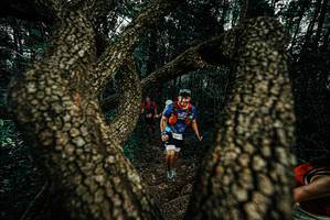 BIB: 
                            <button type="button" onclick="openModal(25693661)" class="btn btn-primary btn-sm float-right btn-popup" data-toggle="modal" data-target=".modal-high-quality">
                        <i class="fas fa-shopping-cart"></i> Add to Cart
                    </button>
                                            <button type="button" onclick="isThisMe(25693661, true)" class="btn btn-success btn-sm float-right btn-popup btn-isme hidden" data-toggle="tooltip" data-placement="bottom" title="นี่คือรูปของคุณใช่ไหม คลิกที่นี่เพื่อเอาเข้าอัลบั้ม">
                        <i class="fas fa-plus"></i> Add to album
                    </button>
                    <button type="button" onclick="isThisMe(25693661, false)" class="btn btn-warning btn-sm float-right btn-popup btn-isnotme hidden">
                        <i class="fas fa-ban"></i> Remove from album
                    </button>